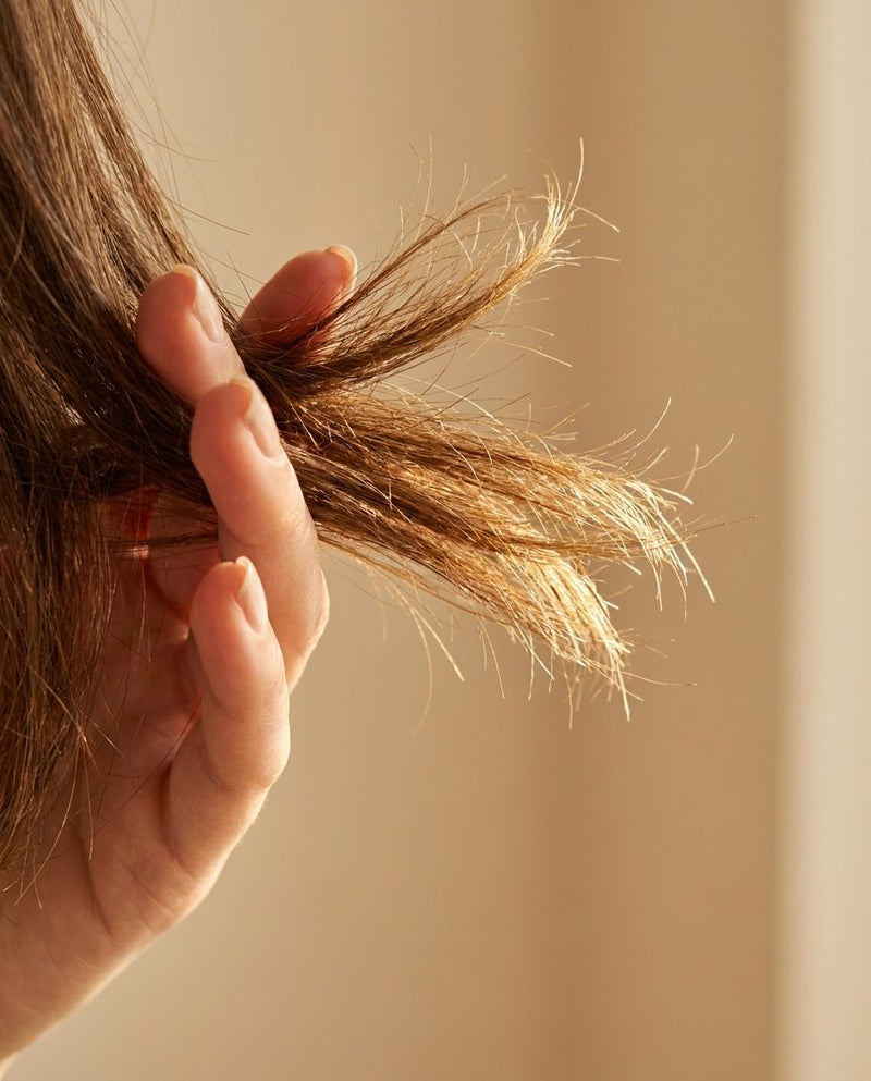hair-dx-dry